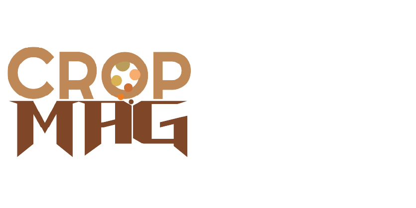 Crop Cma Níquel