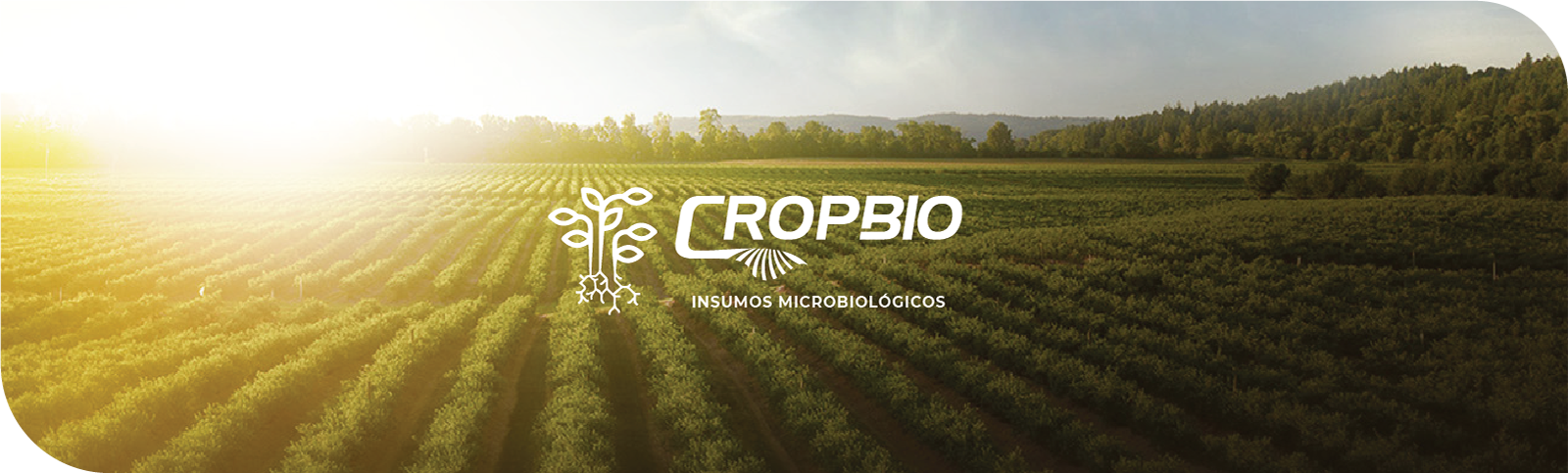 CropBio