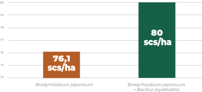 Cropbio Cholla